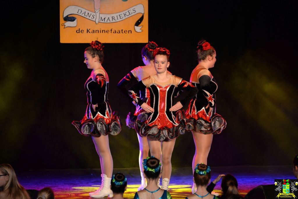 ../Images/Dansmarieke festival 2018 184.jpg